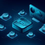 ERP Enterprise Resource Planning (ERP)