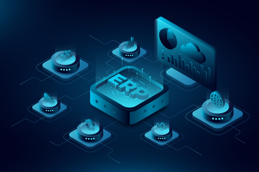 Enterprise Resource Planning (ERP)